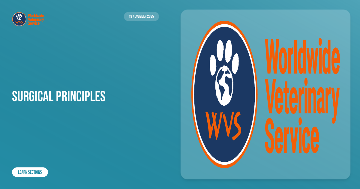 Surgical principles | Learn | WVS Academy