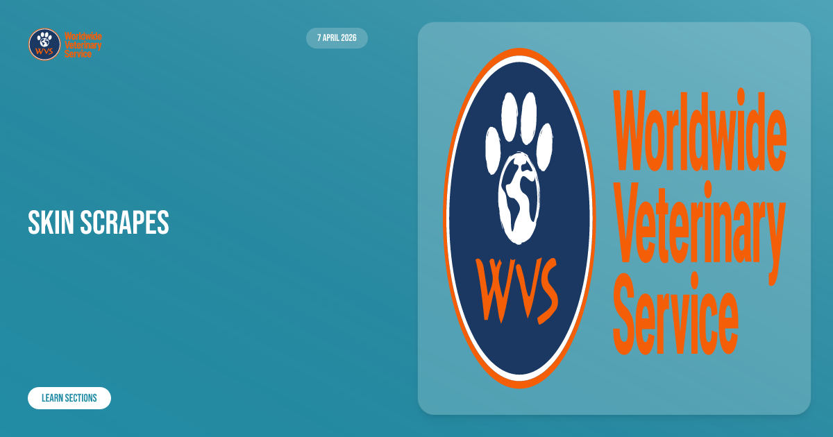 Skin scrapes | Learn | WVS Academy
