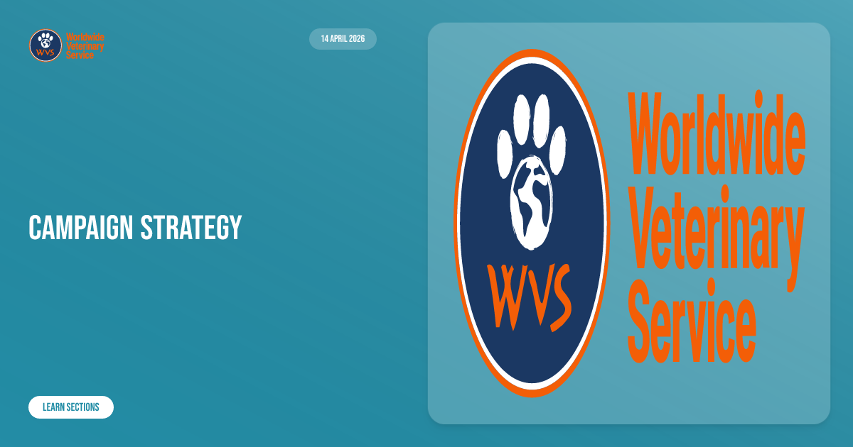 Campaign strategy | Learn | WVS Academy