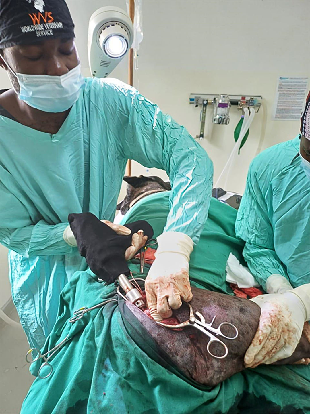 Figure 5 Drilling  a tunnel from the fovea capitis to the region of great trochanter