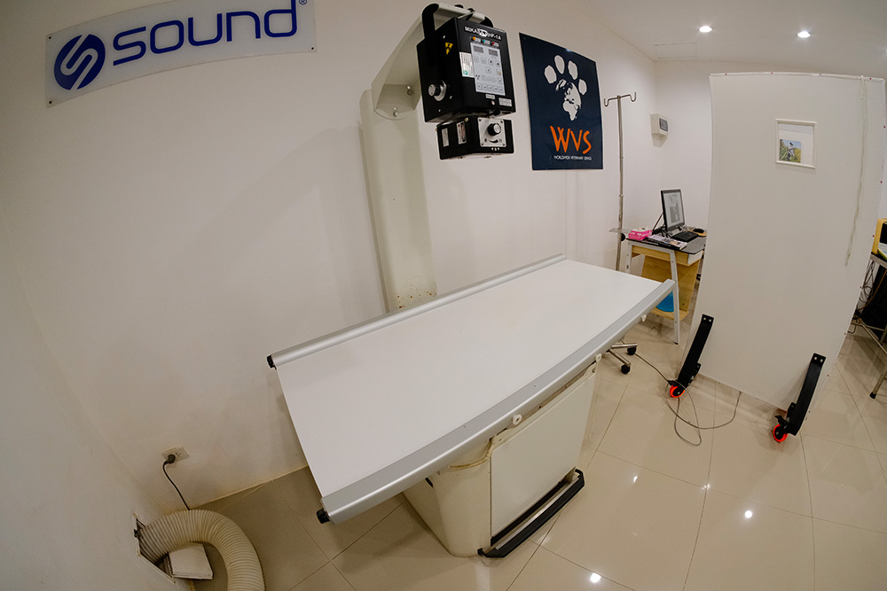 Figure 2 — A digital x-ray machine