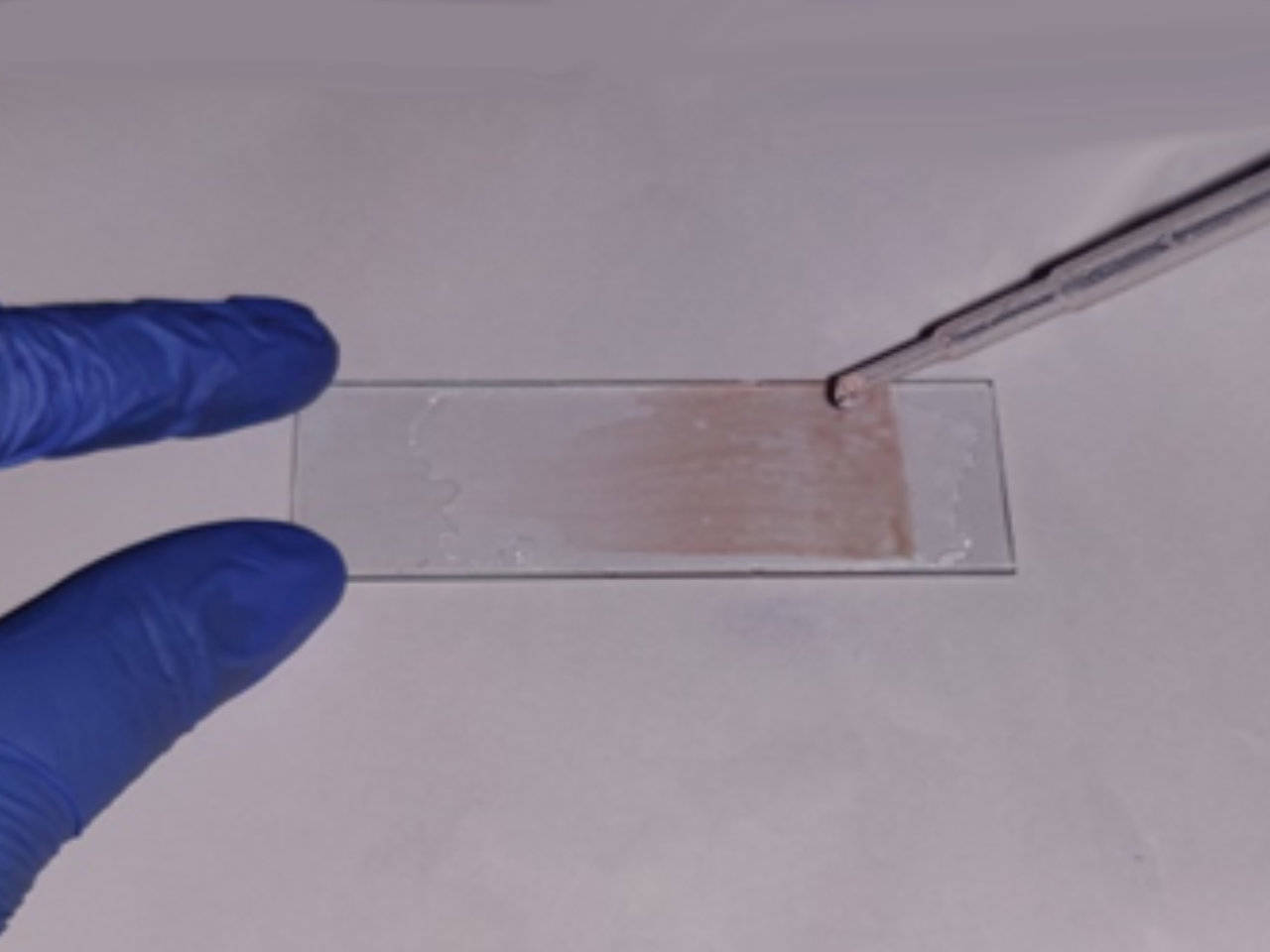 Figure 2 — Fixing the slide with methanol