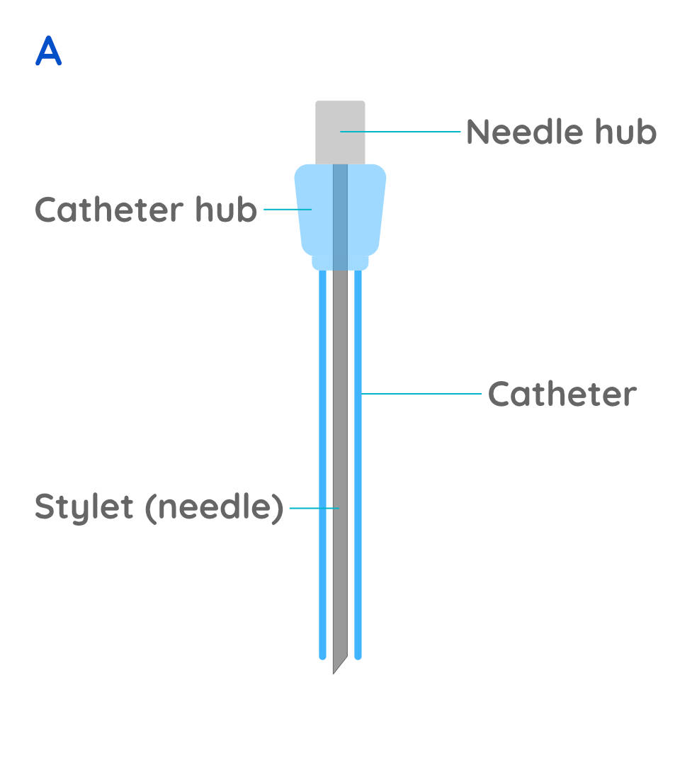 Intravenous catheter placement // WVS Academy