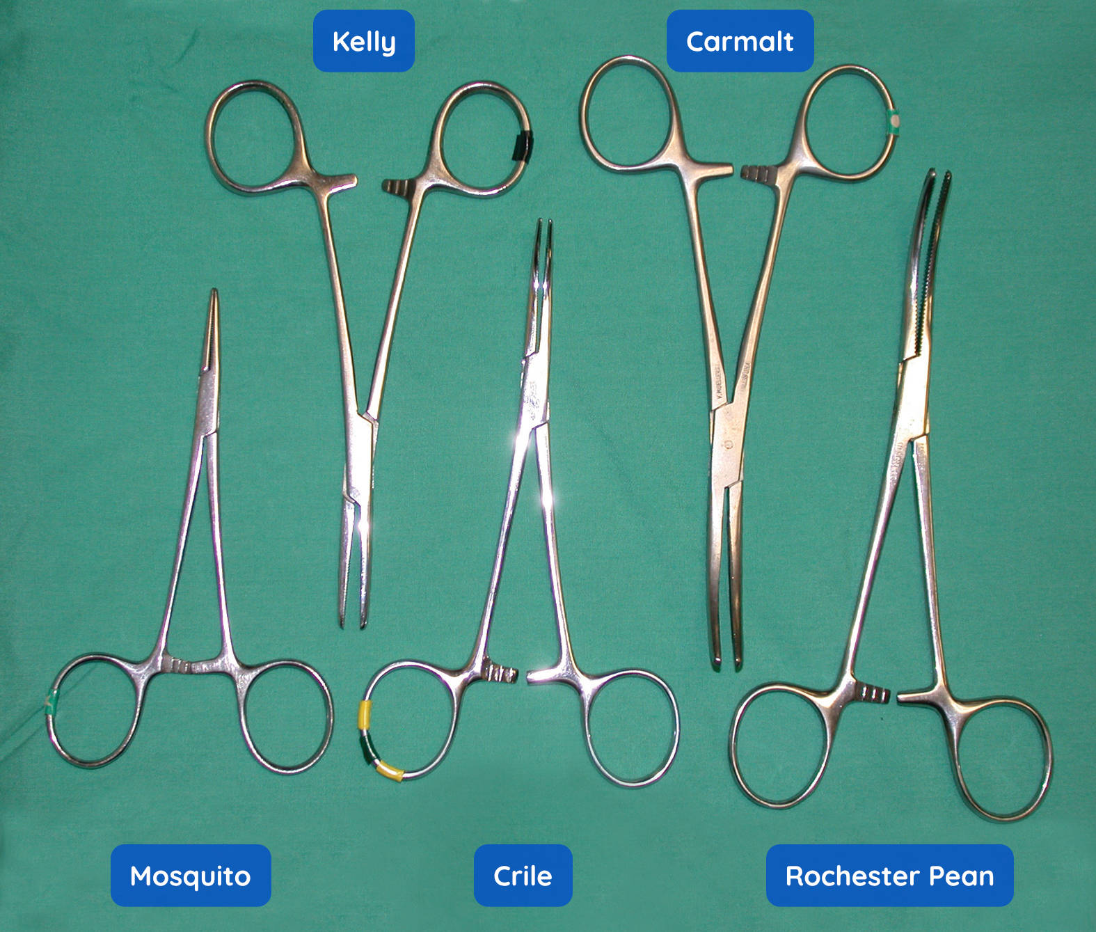 Crile Forceps Vs Kelly Forceps