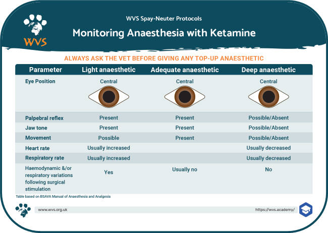 Monitoring of animals anaesthetised with ketamine